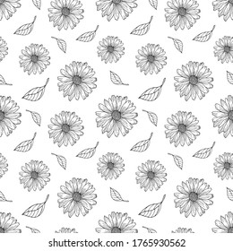 Hand drawn seamless pattern with wildflowers. Black and white doodles with chamomile flowers. Monochrome floral elements. Vector illustration.