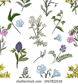 Hand drawn seamless pattern with wildflowers. Sketch of summer flowers, herbs and leaves. Collection of meadow plants. 