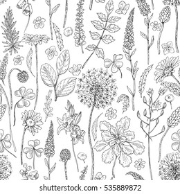 Hand drawn seamless pattern with wildflowers. Black and white doodle wild flowers and grass. Monochrome floral elements. Vector sketch.