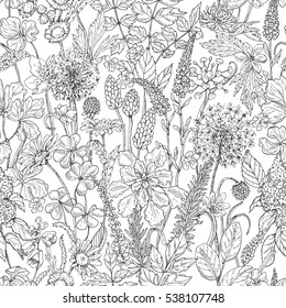 Hand drawn seamless pattern with wildflowers. Black and white doodle wild flowers and grass. Monochrome floral elements. Vector sketch.