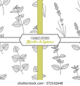 Hand drawn seamless patterns collection with melissa, mint, lavender, perilla. Doodle drawing spicy herbs . Kitchen background. Vector illustration