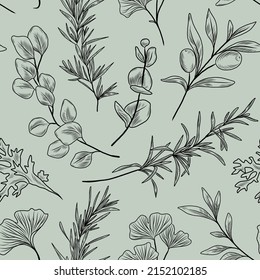 Hand drawn seamless vector pattern with rosemary branch, olive tree branches and leaves, herbal plants, herbs, sage brush plant, eucalyptus