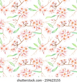 Hand drawn seamless watercolor pattern with colorful vibrant tropical flowers and leaves the white background