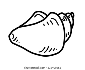 Hand Drawn Seashell