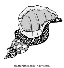 Hand Drawn seashell. aquatic doodle vector illustration. Sketch for tattoo or makhenda. Seashell collection. Ocean life.