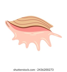 Concha de araña artrítica Seashell dibujada a mano, Murex. Ilustración plana de estilo de dibujos animados concha aislada sobre fondo blanco. Ilustración de vector