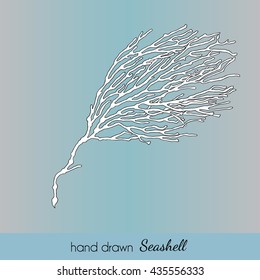 Hand drawn seashell. Branch of Coral. Vector illustration for travel card, template, zoology, print etc.