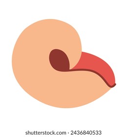 Hand drawn Seashell. Cartoon style flat illustration seashell isolated on white background. Vector illustration
