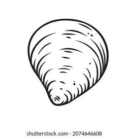 Hand drawn seashell, clam vector illustration. Marine underwater theme.