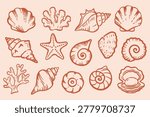 Hand drawn seashell collection in warm coral outline doodle style. Minimal coastal line art set with shells, starfish and coral. Trendy summer illustration for patterns, packaging, posters and feminine branding.
