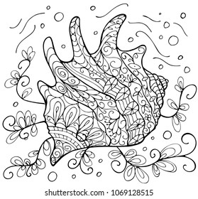 Hand Drawn Seashell Coloring Book Adults Stock Vector (Royalty Free ...