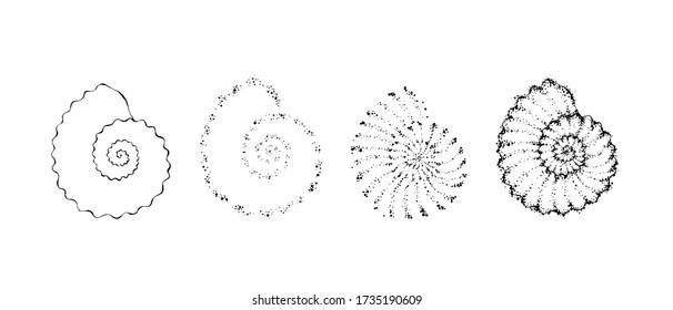 Hand drawn seashell constructor. Outline design with dots.