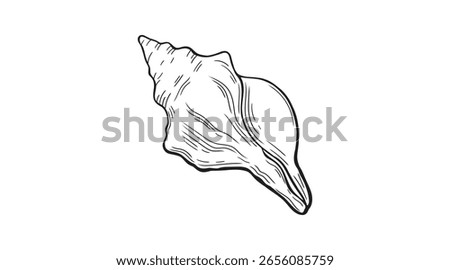 Hand drawn seashell icon. Sketch conch shell in vintage etching style. Spiral shape with ridges and curved form. Coastal line art element for beach-themed designs, nautical decor, sea life.