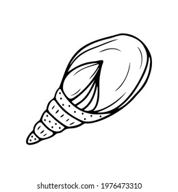 Hand drawn seashell isolated on a white background. Doodle, simple outline illustration. It can be used for decoration of textile, paper.