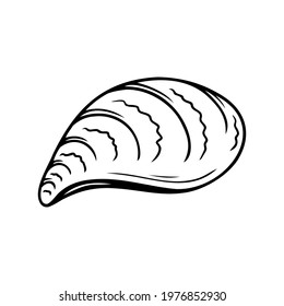 Hand drawn seashell isolated on a white background. Doodle, simple outline illustration. It can be used for decoration of textile, paper.