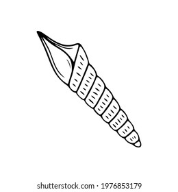 Hand drawn seashell isolated on a white background. Doodle, simple outline illustration. It can be used for decoration of textile, paper.