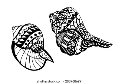 Hand drawn seashell. Isolated on white background. Vector illustration.