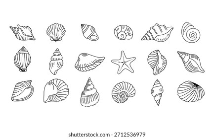 Hand Drawn Seashell Line Art Set  Nautical Shell Collection Illustration