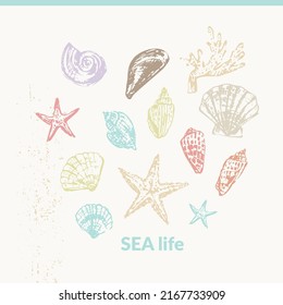 Hand drawn seashell pencil sketch set. Vector monochrome illustration, sea nature background. Summer travel, beach vacation design elements for cards and prints, beauty products.