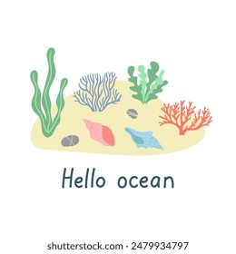 Hand drawn seashell, seaweed, coral and text Hello ocean. Template for print, greeting card and invitation. Isolated vector illustration. 