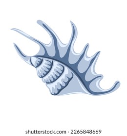 Hand drawn seashell. Shellfish. Marine dwellers. Concept of sea and ocean life. Vector illustration
