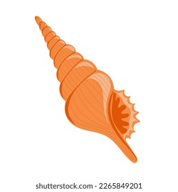 Hand drawn seashell. Shellfish. Marine dwellers. Concept of sea and ocean life. Vector illustration