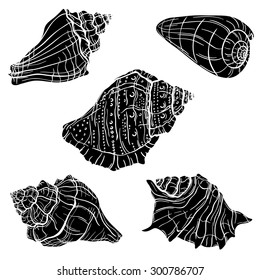 Hand drawn seashell silhouettes