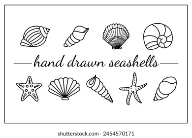 Hand drawn Seashell silhouettes. Marine shells icons. Rapana seashells, Starfish, round shell of urchin. Marine life, ocean mollusks