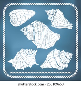 Hand drawn seashell silhouettes and rope border