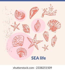 Hand drawn seashell sketch set. Vector sea nature illustration  background. Summer travel, beach vacation design elements for cards and prints, beauty products.