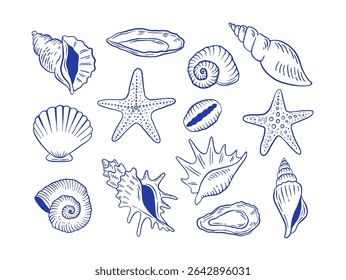 Hand drawn seashell and starfish vector illustration. Doodle sea life shell icon set. 
