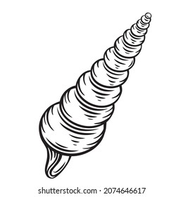 Hand drawn seashell vector illustaration. Marine underwater theme.