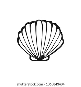 Hand drawn seashell vector illustration on white background. Sea or ocean underwater life.