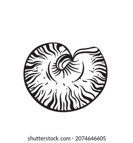 Hand drawn seashell vector illustration. Marine underwater theme.