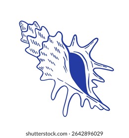 Hand drawn seashell vector illustration. Minimalist doodle sealife, line art style. 