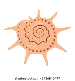 Hand drawn Seashell Yoka Star Turban. Cartoon style flat illustration seashell isolated on white background. Vector illustration