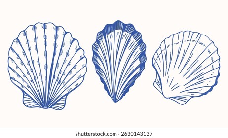 Hand Drawn Seashells Collection Detailed Ink Drawings of Various Seashells Minimalist Style Perfect for Design Projects