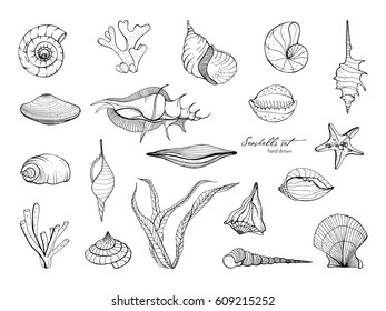 Hand Drawn Seashells Collection. Set Of Seaweed, Coral, Starfish, Shell. Vector Black And White Illustration.
