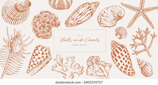 Hand drawn seashells and corals. Marine life pattern for traveling and vacation design