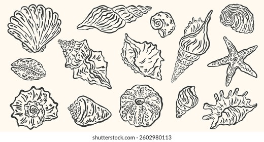 Hand drawn seashells drawing ink set. Minimalist line art, naive marine sketch. Summer vacation design elements for poster, menu, banners, invitation. Tropical beach shells. Vector illustration.