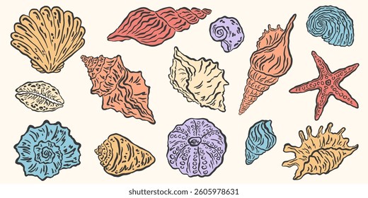 Hand drawn seashells drawing ink set. Minimalist line art, naive marine sketch. Summer vacation design elements for poster, menu, banners, invitation. Tropical beach shells. Vector illustration.