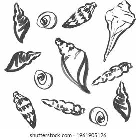 Hand Drawn Seashells In Gouache