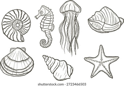 Ilustración de línea de conchas marinas y criaturas marinas dibujadas a mano