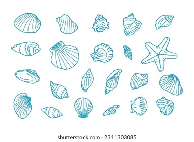 Hand drawn seashells. Marine doodle set with seastars and mussels. Collection of shell, sink and starfish. Perfect for invitations, fabric, textile, linens, posters, prints, banners