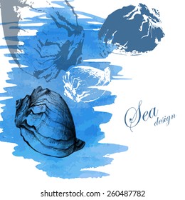 Hand drawn seashells on a watercolor sea background. Vector illustration.