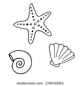 Hand drawn seashells and sea ride in doodle style. Set on a white background. Vector illustration. Seashells can be used on postcards, stickers, posters.