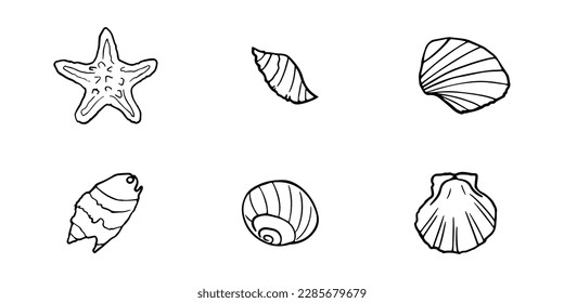Hand drawn seashells set. Various sea shells types. Best for using in nautical and marine themed designs.