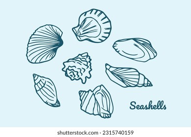 Hand drawn seashells set. Various sea shells types. Best for using in nautical and marine themed design. Sketch style drawings collection. Vector illustrations