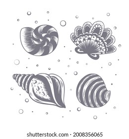 Hand drawn seashells with water bubbles. Vector illustration on a white background