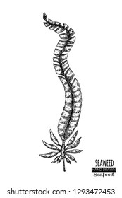 Hand drawn seaweed.